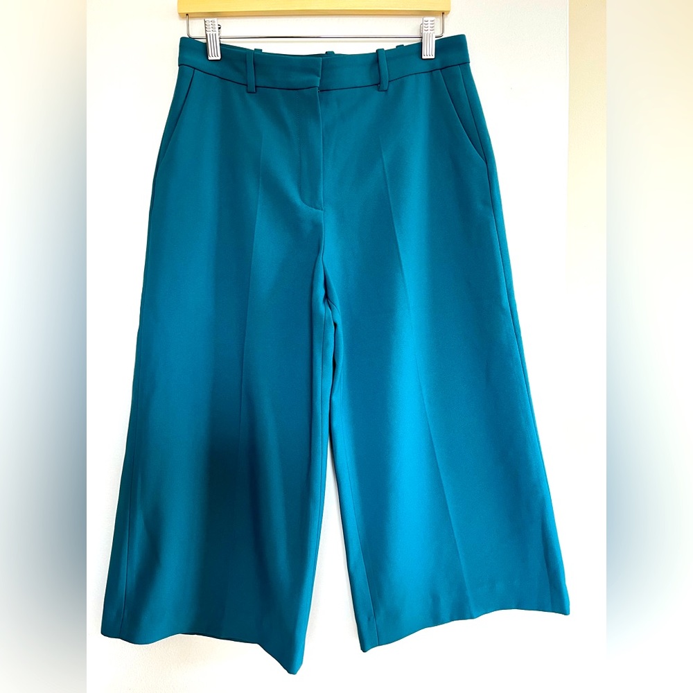 Zara wide leg pants